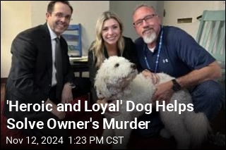 &#39;Heroic and Loyal&#39; Dog Helps Solve Owner&#39;s Murder