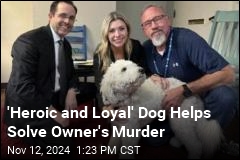 &#39;Heroic and Loyal&#39; Dog Helps Solve Owner&#39;s Murder