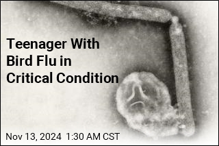 Teen in Critical Condition With Bird Flu