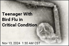 Teen in Critical Condition With Bird Flu