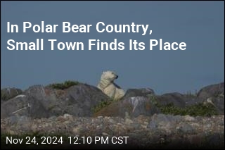 In Polar Bear Country, Small Town Finds Its Place