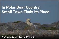 In Polar Bear Country, Small Town Finds Its Place