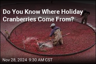 Do You Know Where Holiday Cranberries Come From?