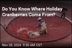 Do You Know Where Holiday Cranberries Come From?