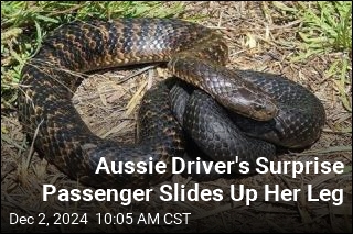 Aussie Driver&#39;s Surprise Passenger Slides Up Her Leg