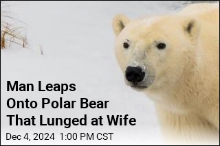 Man Leaps Onto Polar Bear to Protect His Wife