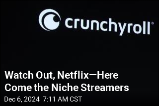 Niche Streamers Take on Netflix, Other Media Giants