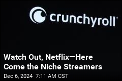 Niche Streamers Take on Netflix, Other Media Giants