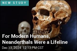 For Modern Humans, Neanderthals Were a Lifeline