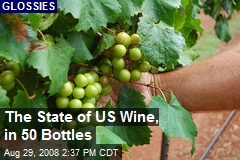 The State of US Wine, in 50 Bottles