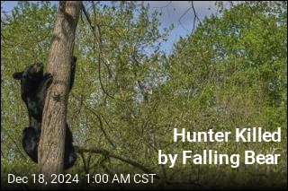 Hunter Killed by Falling Bear