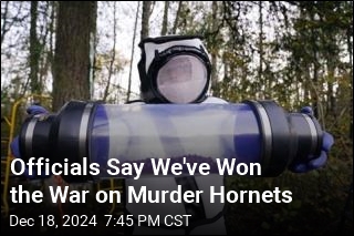 Officials Say We&#39;ve Won the War on Murder Hornets