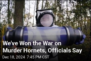 Officials Say We&#39;ve Won the War on Murder Hornets