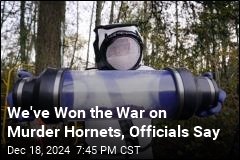 Officials Say We&#39;ve Won the War on Murder Hornets