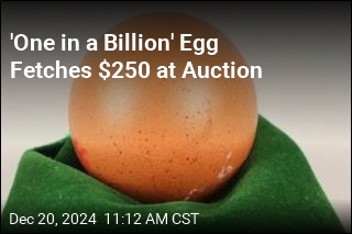 &#39;Perfectly Spherical&#39; Egg Fetches $250 at Auction