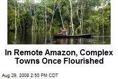 In Remote Amazon, Complex Towns Once Flourished