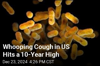 Whooping Cough in US Hits a 10-Year High