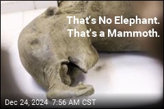 That&#39;s No Elephant. That&#39;s a Mammoth.