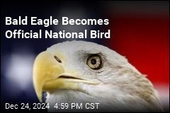 Bald Eagle Is Now Officially the National Bird