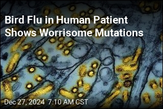 Bird Flu in Human Patient Shows Worrisome Mutations