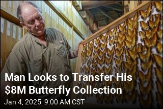 Man Looks to Transfer His $8M Butterfly Collection