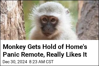 Monkey Breaks Into Home, Keeps Hitting Panic Alarm