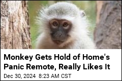 Monkey Breaks Into Home, Keeps Hitting Panic Alarm