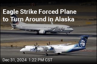 Eagle Strike Forces Alaska Flight to Turn Around