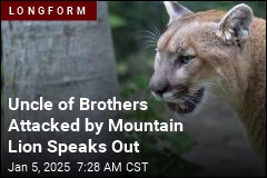 Uncle of Brothers Attacked by Mountain Lion Speaks Out