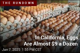 Egg Prices Likely Won&#39;t Come Back to Earth Soon