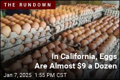 Egg Prices Likely Won&#39;t Come Back to Earth Soon