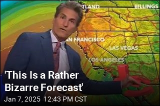 &#39;This Is a Rather Bizarre Forecast&#39;