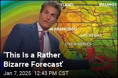 &#39;This Is a Rather Bizarre Forecast&#39;