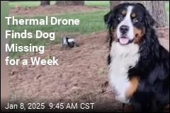 When Dog Went Missing, Couple Sent In the Drones