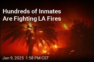 Hundreds of Inmates Are Fighting LA Fires