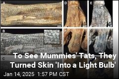 Lasers Focused on Mummies Reveal Ancient Peruvians&#39; Ink