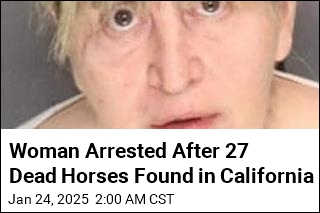 Woman Arrested After 27 Dead Horses Found in California