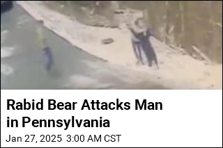 Rabid Bear Attacks Man in Pennsylvania