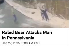 Rabid Bear Attacks Man in Pennsylvania