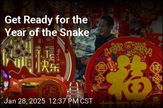 Get Ready for the Year of the Snake