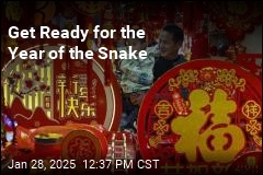 Get Ready for the Year of the Snake