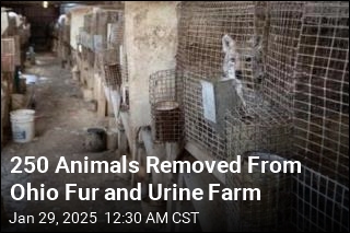 250 Animals Taken From Ohio Fur and Urine Farm