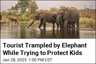 Tourist Trampled by Elephant While Trying to Protect Kids