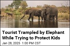 Tourist Trampled by Elephant While Trying to Protect Kids