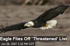 Eagle Flies Off 'Threatened' List