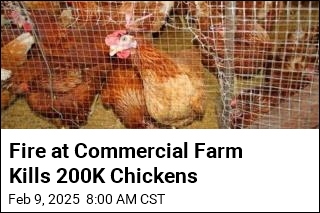 Fire at Commercial Farm Kills 200K Chickens