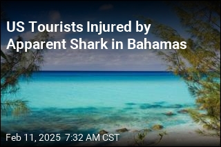 US Tourists Injured by Apparent Shark in Bahamas