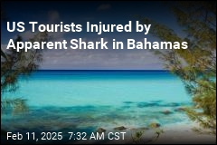 US Tourists Injured by Apparent Shark in Bahamas