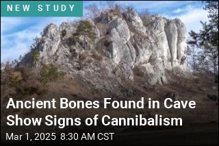 Ancient Bones Found in Cave Show Signs of Cannibalism