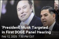 Democrats Target &#39;President&#39; Musk in First DOGE Hearing